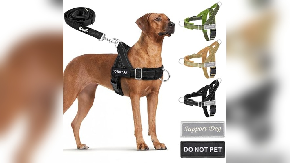 Best Dog Harness No Chafing