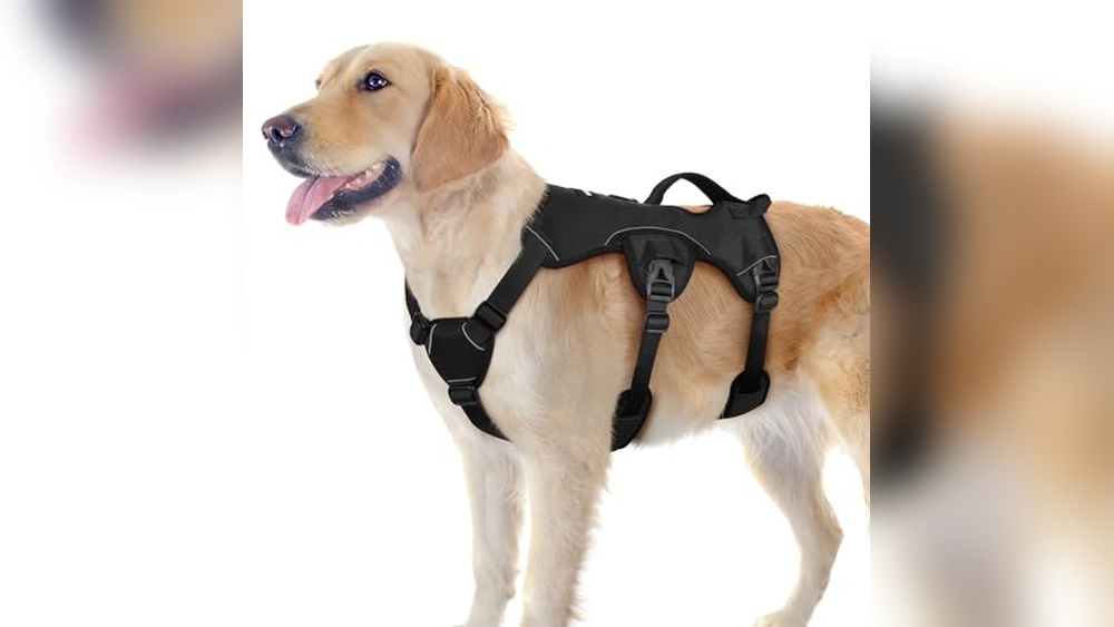 Best Dog Harness With Handle For Lifting