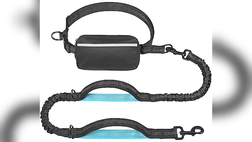 Best Dog Leash For Arthritic Hands