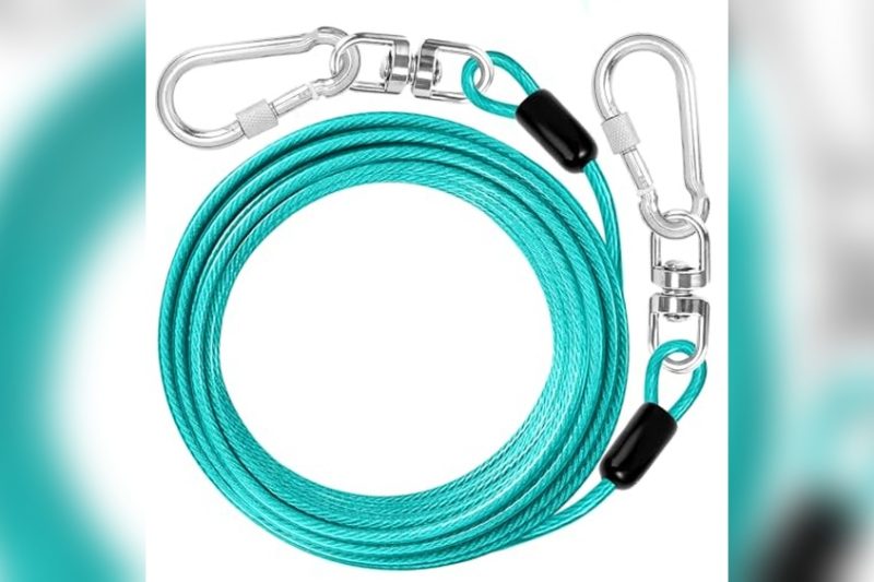 Best Dog Leash For Camping: Top Picks for Safe Outdoor Adventures