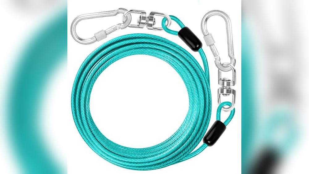 Best Dog Leash For Camping