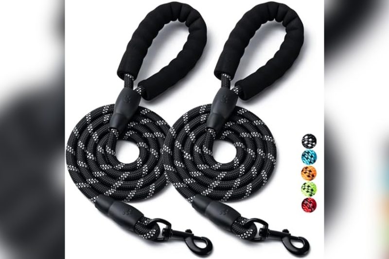 Best Dog Leash For Large Breeds: Top Picks & Honest Reviews