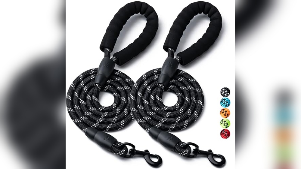 Best Dog Leash For Large Breeds