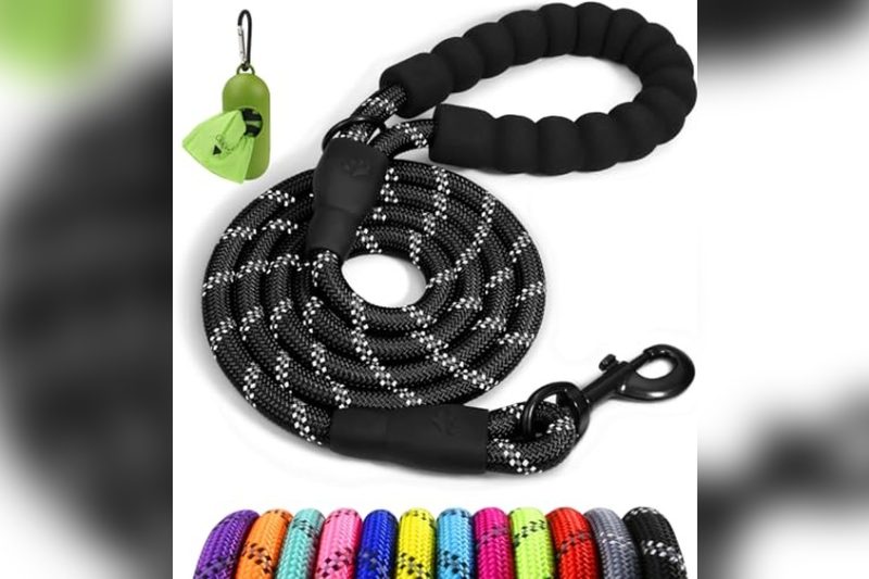 Best Dog Leash For Large Dogs That Pull: Top Picks 2024