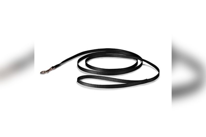 Best Dog Leash For Puppy: Top Picks for Safe Training