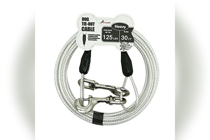 Best Dog Leash For Yard: Top Picks for Safe Outdoor Play
