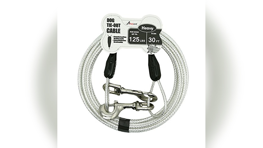Best Dog Leash For Yard