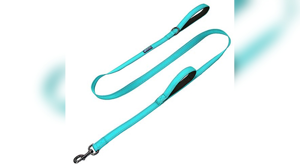 Best Dog Leash With Traffic Handle