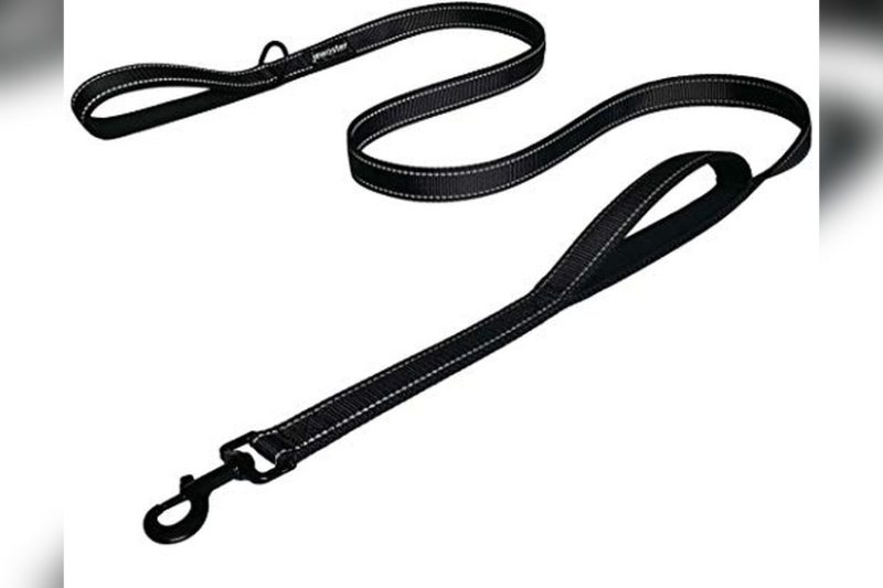 Best Dog Leash With Traffic Handle: Top Picks for Safety & Control