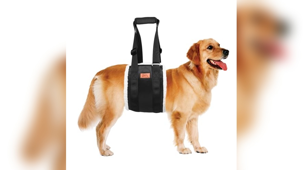 Best Dog Lift Harness For Back Legs
