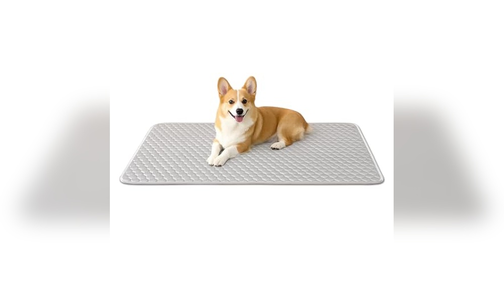 Best Dog Pads For Crates