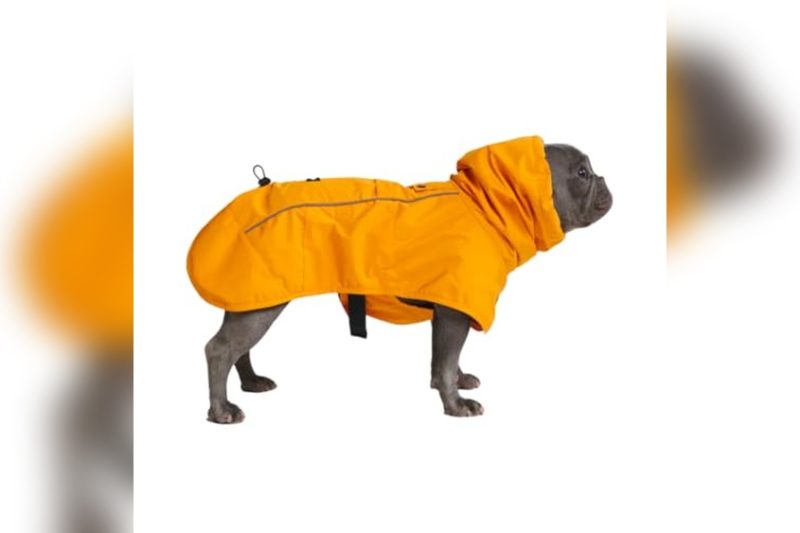 Best Dog Raincoat With Harness Hole: Top Picks for 2024