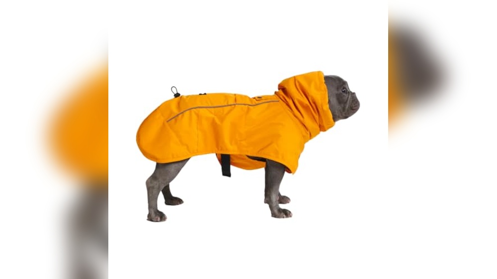 Best Dog Raincoat With Harness Hole