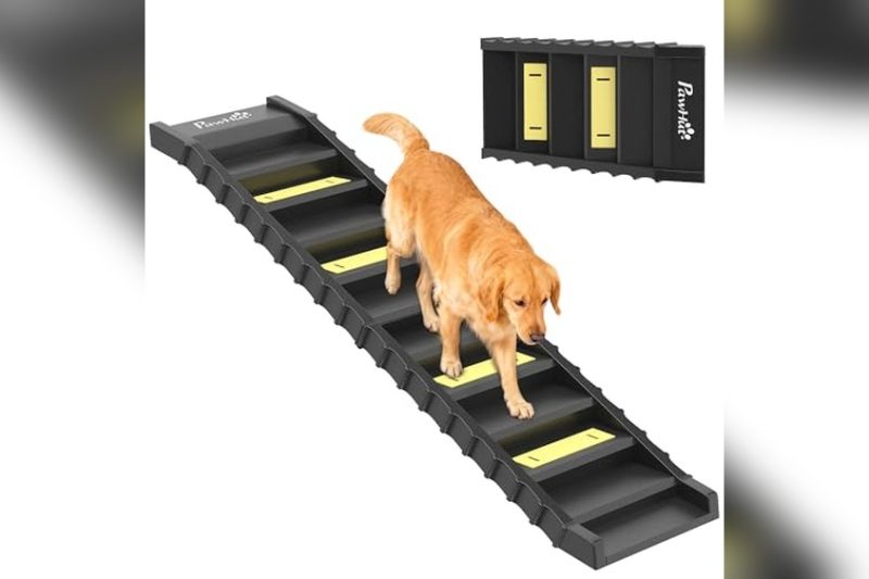 Best Dog Ramp For Tall Bed: Top Picks for Easy Pet Access