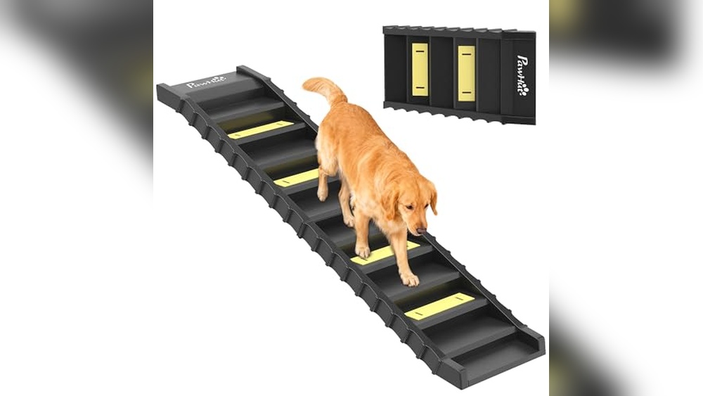 Best Dog Ramp For Tall Bed
