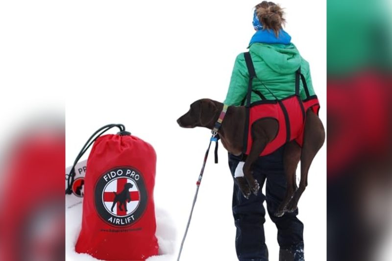 Best Dog Rescue Harness: Top Picks for Safety & Comfort