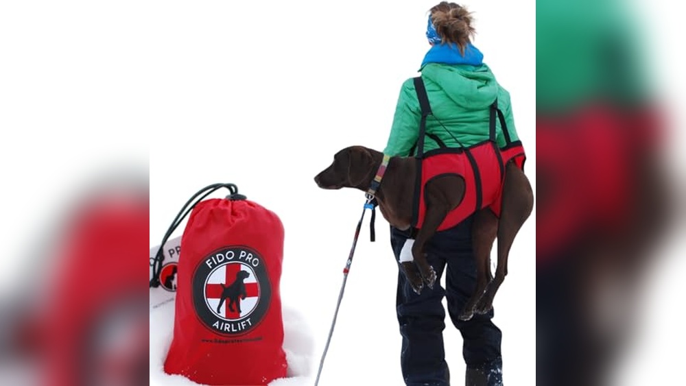Best Dog Rescue Harness
