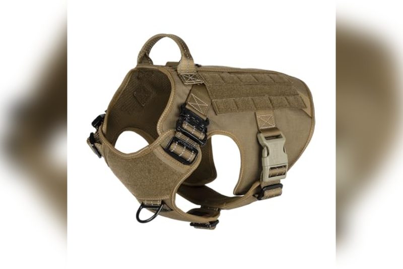 Best Dog Tactical Harness: Top Picks for Comfort & Durability