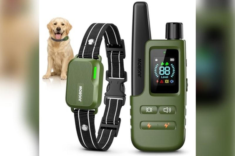 Best Dog Trainer Collar: Top Picks for Effective Training