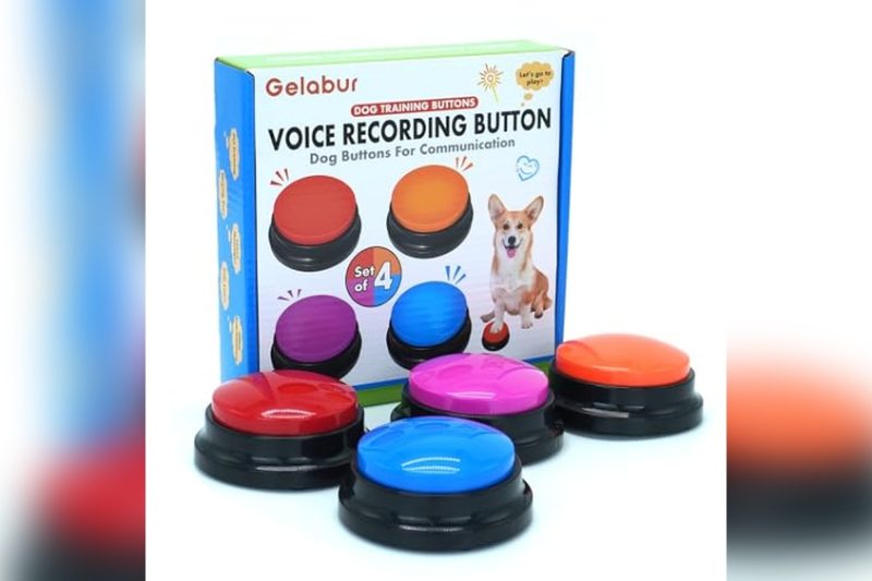 Best Dog Training Buttons: Top Picks for Easy Pet Communication