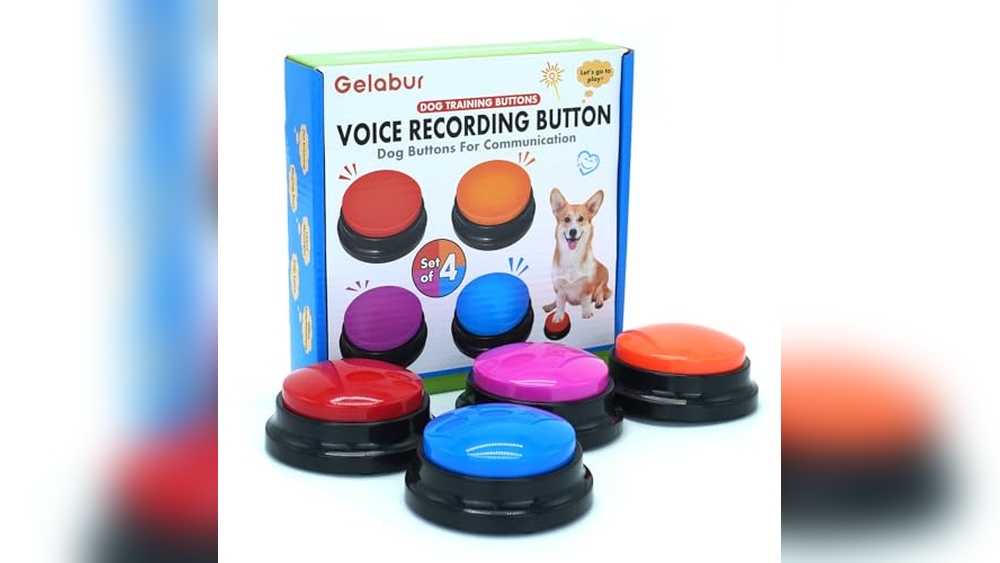 Best Dog Training Buttons