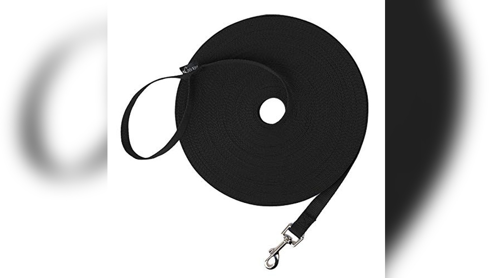 Best Dog Training Lead