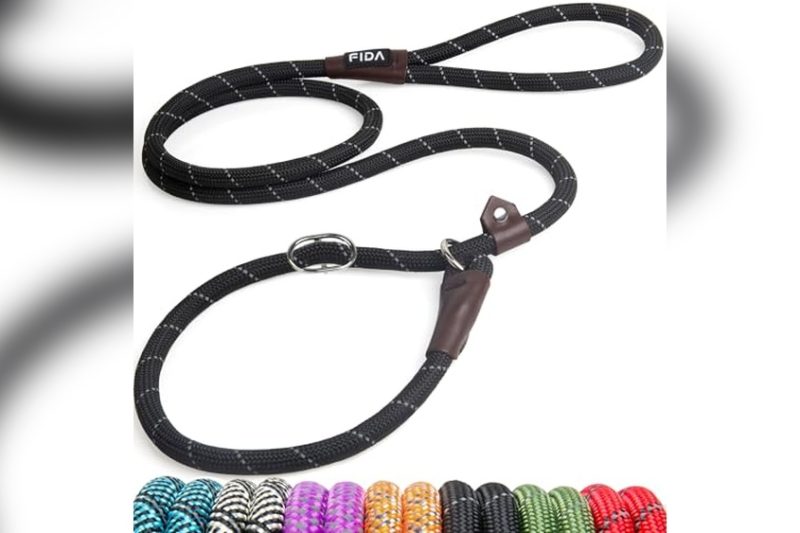 Best Dog Training Leashes: Top Picks for Effective Control