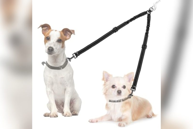 Best Double Dog Leash For Small Dogs: Top Picks & Reviews