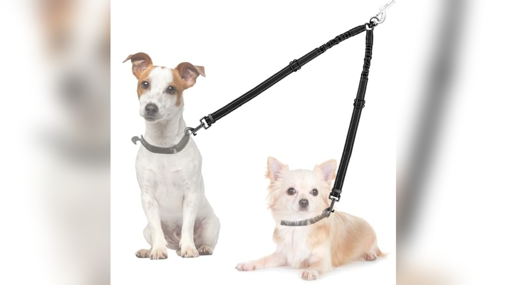 Best Double Dog Leash For Small Dogs