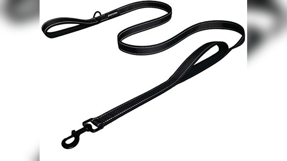 Best Double Handle Dog Leash