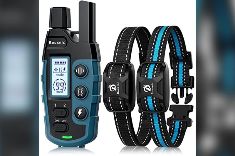 Best E Collar For 2 Dogs: Top Picks for Effective Training