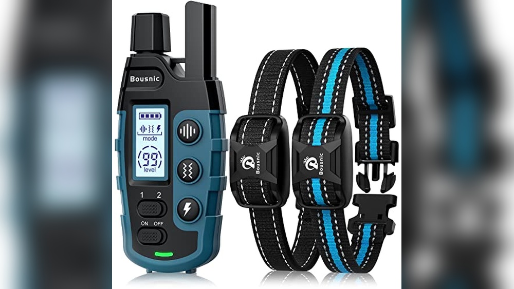 Best E Collar For 2 Dogs