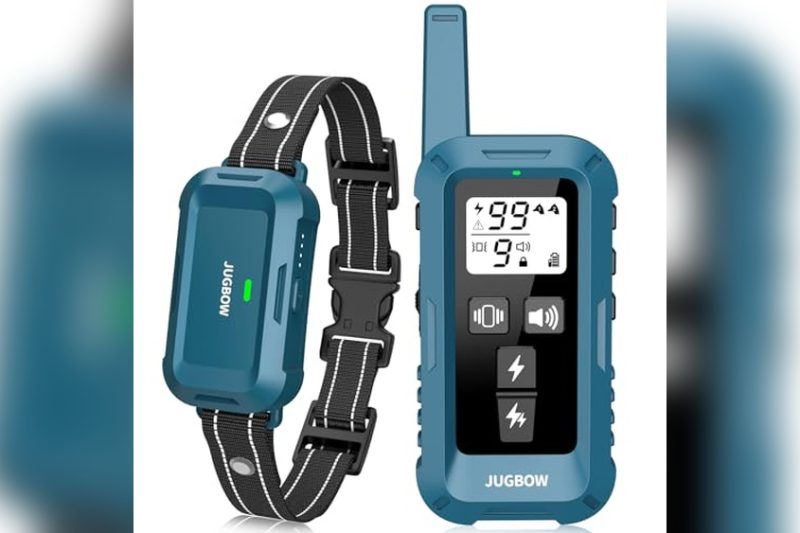 Best E Collar For Aggressive Dogs: Top Safe Picks Reviewed