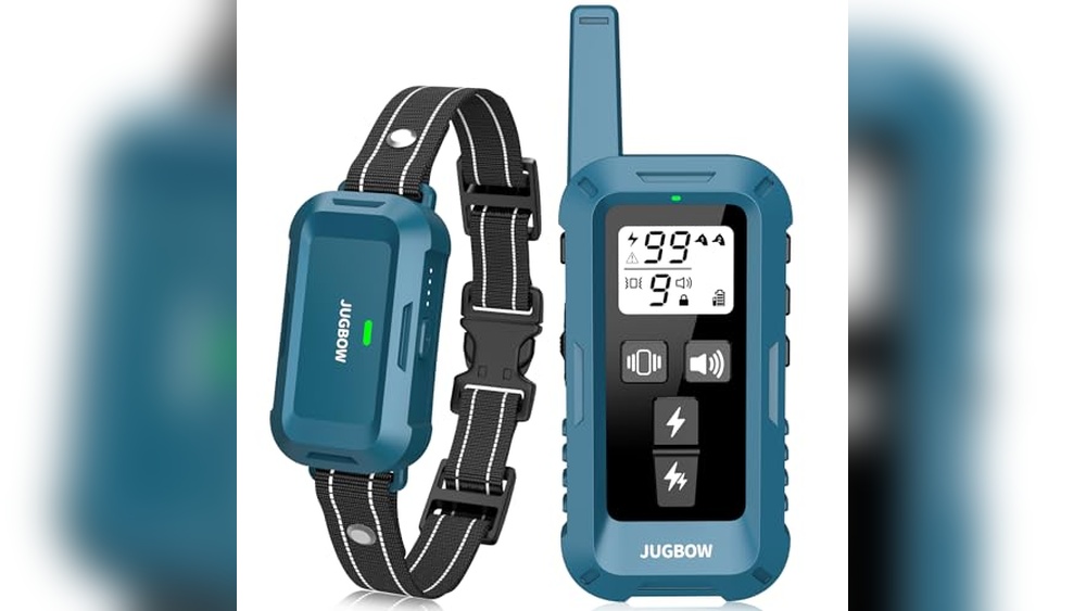 Best E Collar For Aggressive Dogs