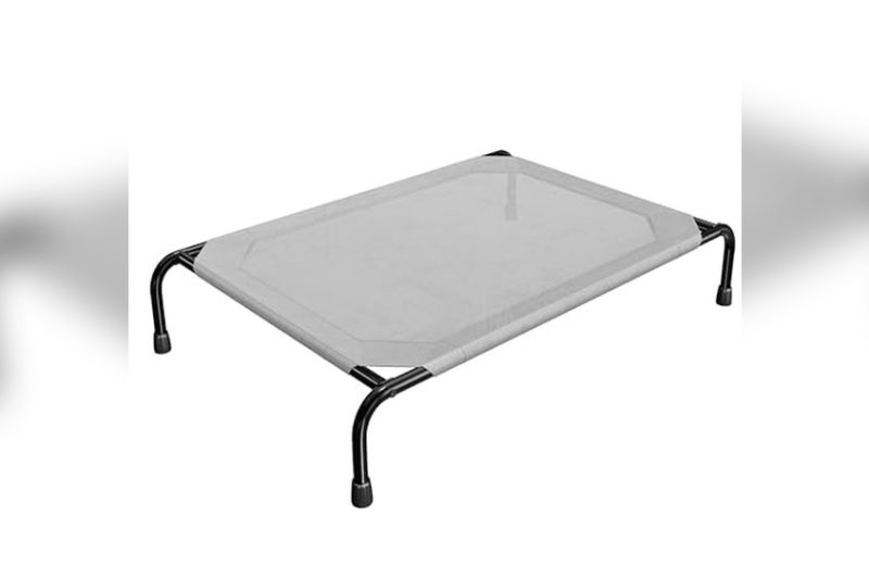Best Elevated Dog Bed For Large Breeds: Top Picks & Reviews