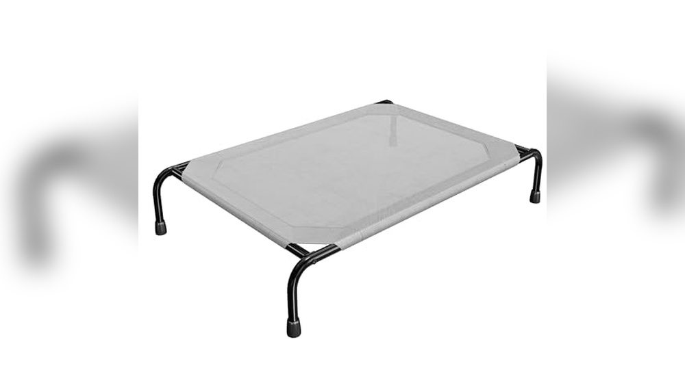Best Elevated Dog Bed For Large Breeds
