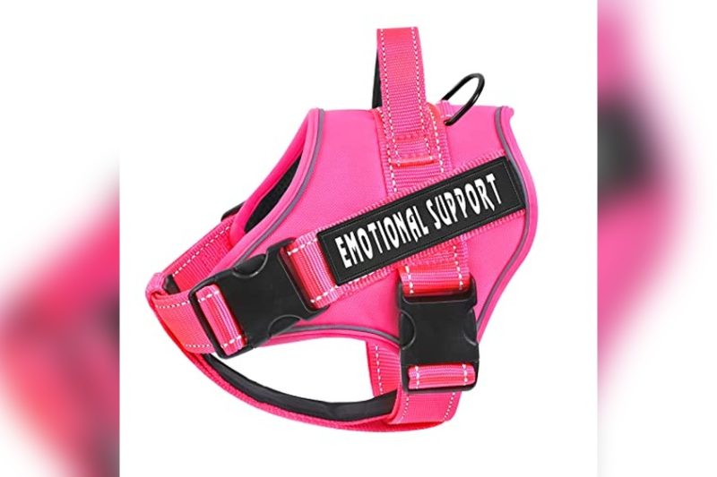 Best Emotional Support Dog Harness: Top Picks & Honest Review
