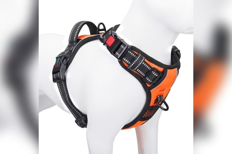 Best English Bulldog Harness: Top Picks for Comfort & Control