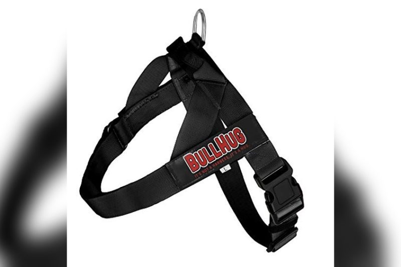 Best English Bulldog Harness: Top Picks for Comfort & Control