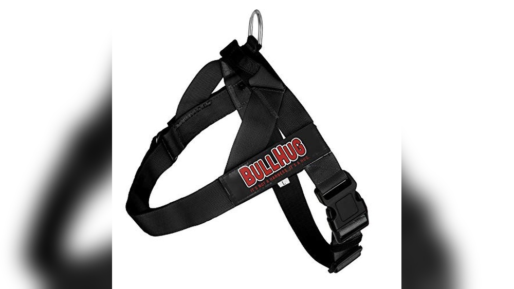 Best English Bulldog Harness