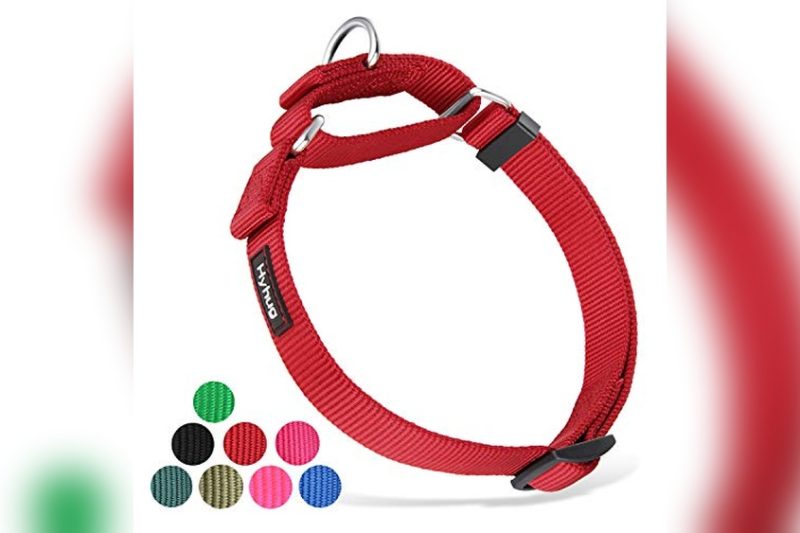 Best Escape Proof Dog Collar: Top Picks for Secure Pets 2024