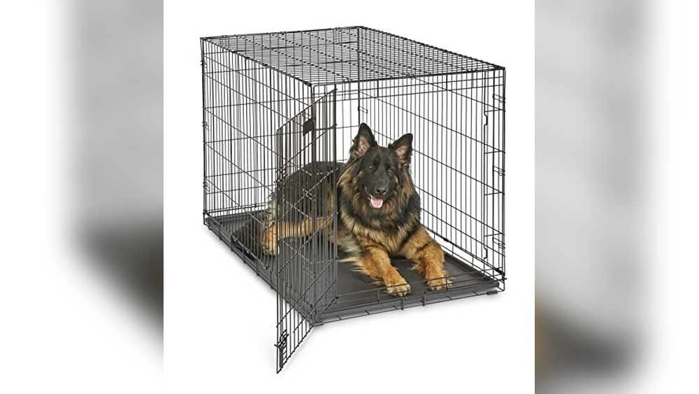 Best Extra Large Dog Crate