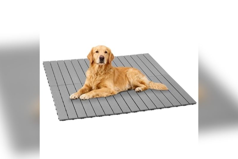 Best Floor For Outdoor Dog Kennel: Top Durable Picks Reviewed