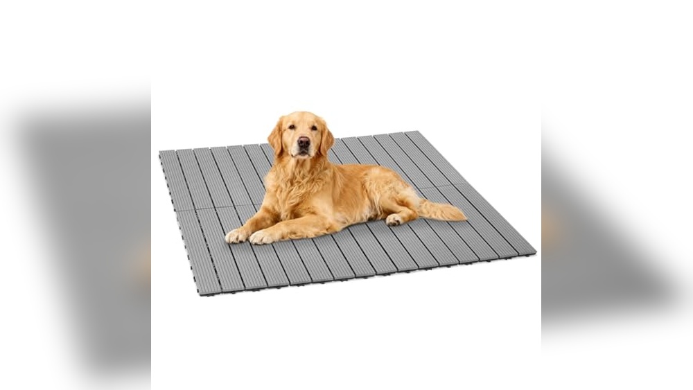 Best Floor For Outdoor Dog Kennel