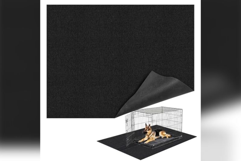 Best Flooring For Indoor Dog Kennel: Top Durable Picks Reviewed