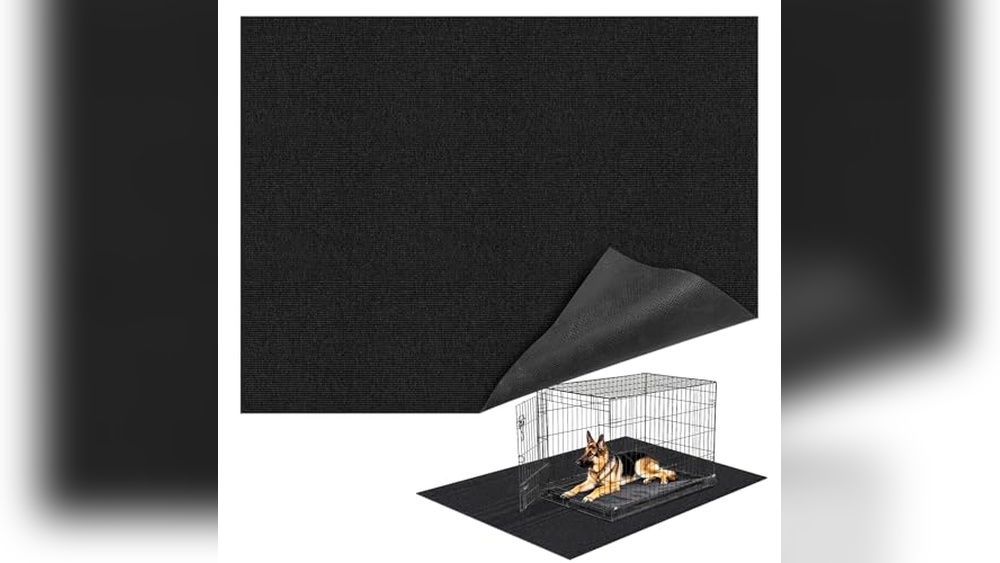 Best Flooring For Indoor Dog Kennel