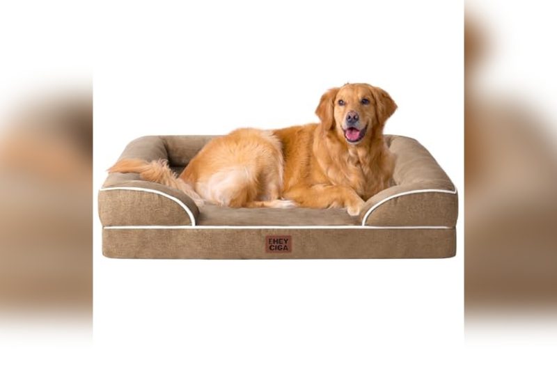 Best Foam For Dog Bed: Top Picks for Comfort & Support