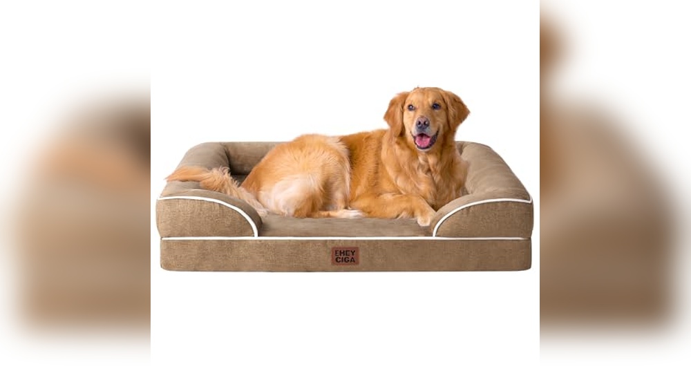 Best Foam For Dog Bed
