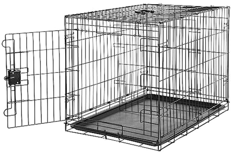 Best Foldable Dog Crate: Top Picks for Comfort & Durability