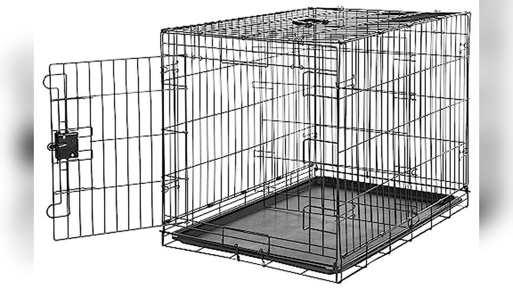 Best Foldable Dog Crate